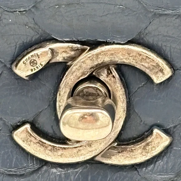 Chanel Blue Mini Python Coco Handle Bag - Picture 7 of 16